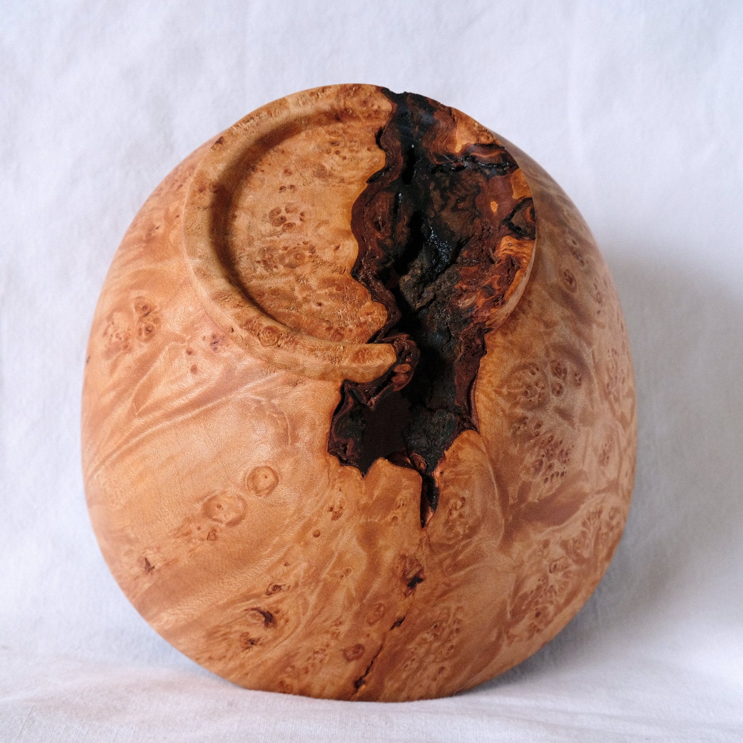 Maple Burl Decorative Bowl with Large Bark Inclusion